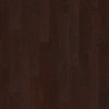 Shaw SW590 Ocala 5"W Smooth Engineered Hardwood Flooring - Conway
