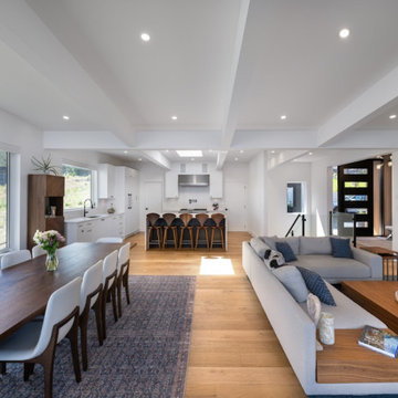 Mid-Century Renovation