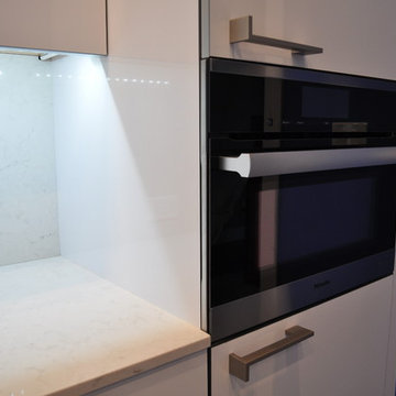 Colfax Contemporary Kitchen . Nar Fine Carpentry . Sacramento . El Dorado Hills