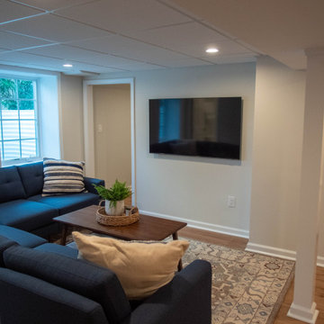 Basement Renovation