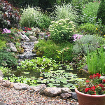Masicki Backyard Pond - Westport