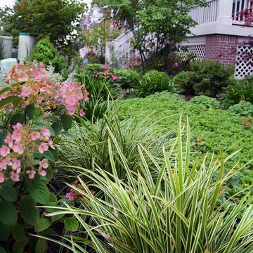 Arlington Heights Traditional Chicago Front Yard