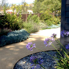 Landscape Ideas