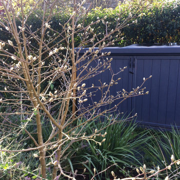 Redland Front Garden