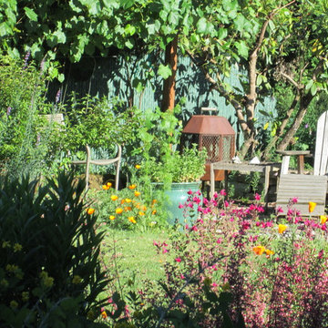 Backyard Grape Arbor