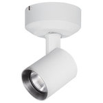 WAC Lighting - Lucio LED 10W Monopoint 2700K Ultra Narrow Beam, White - Lucio is an architectural LED luminaire with fine tuned optics designed for applications where the details matter. Lucio features the option for an ultra narrow beam with a tight 6-8 degree beam spread or an Asymmetrical spread for a clean wall wash with minimal light spillage. Available in a variety of color temperatures and beam distributions including asymmetric, flood, narrow, spot, and ultra narrow. Lucio accommodates 1 lens and 1 glare control accessory applied with ease through the tool-free torsion spring cover. 365 degree horizontal aiming and 90 degree vertical aiming with indexed markings to propagate settings on nearby fixtures with ease.