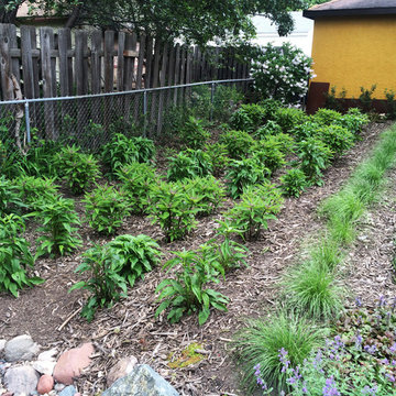 Longfellow Patio, Rain Garden & Dry River Bed
