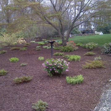 Shade Garden early spring (low maintenance)