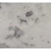 TILE BILE