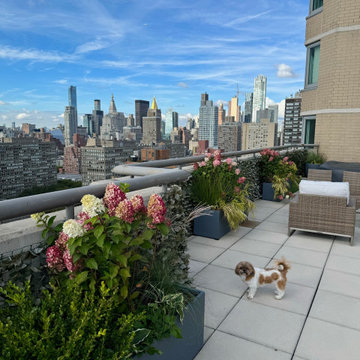 Midtown Manhattan Dog-Friendly Rooftop Garden