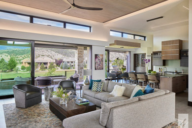 Example of a trendy living room design in Denver