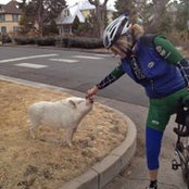 Mark McCafferty's photo