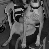 Afton Montgomery's photo