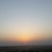 Doha Salahs foto