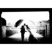 Laura Schlegel's photo