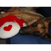 Heather Lovell's photo