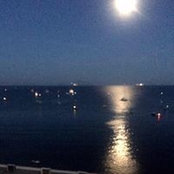 Giovanna d'Avanzo's photo
