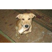 Debbie Rodriguez's photo