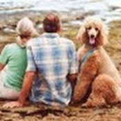 Cindy Turse's photo
