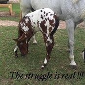 Randall Hitesman's photo