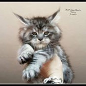 Jenifer Dulaj's photo
