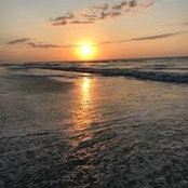 Robin Krites's photo
