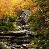 Sue Turner's photo