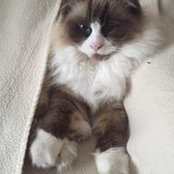 Heidi Munder's photo