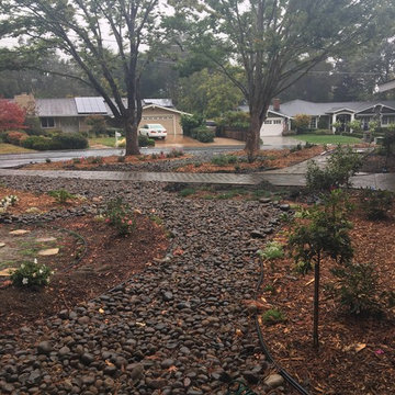 Front Yard Remodel