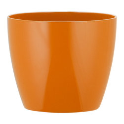 Cylinder Phoenix Planter - Products