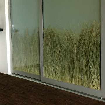 Beach Dune Grass - Sliding Closet Doors / Room Dividers