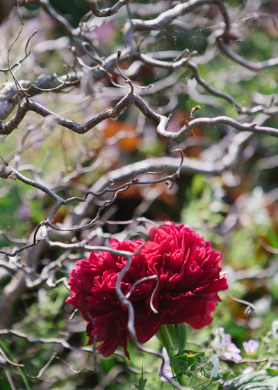 by Ольга Шангина | Photography