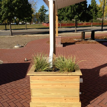 Downspout Planter Box in Philadelphia