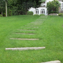 Steps