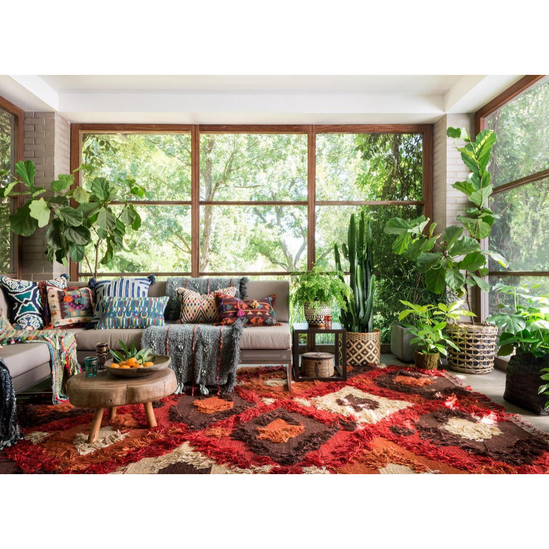 Our Rugs