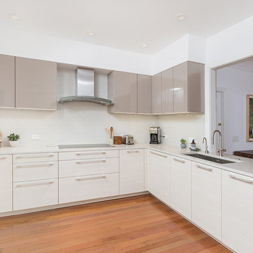 Old City, Philadelphia: Sleek Modern Kitchen with Triptych Cafe Door