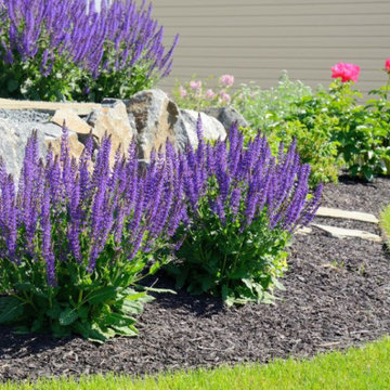 Flower Beds and Landscaping