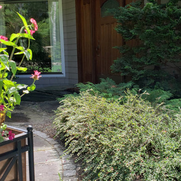 Design around existing trees