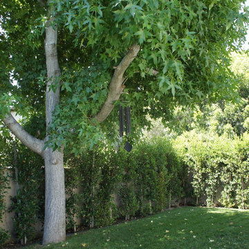 SHADYGLADE x LANDSCAPE
