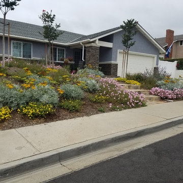 Mission Viejo Front Yard