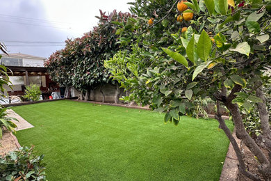Inspiration for a landscaping in San Diego.
