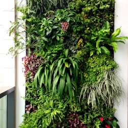 Advance Greenwall modular system - Outdoor Wall Art