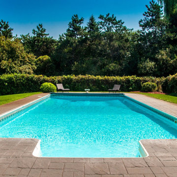 Top 7 Backyard Pool Designs for Every Size and Budget