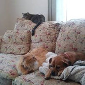 Karen Falzo's photo