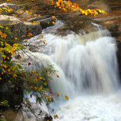 Charles Brunetto's photo