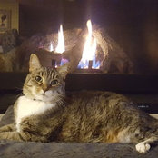 Amy Linden's photo