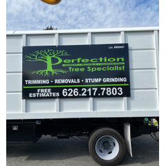 Perfection Tree Specialist