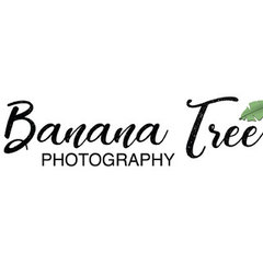 Banana Tree Photography