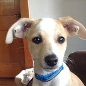 Jude Beauregard's photo