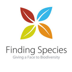 Finding Species